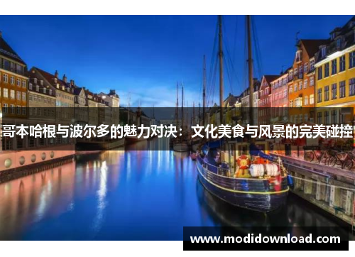 哥本哈根与波尔多的魅力对决：文化美食与风景的完美碰撞