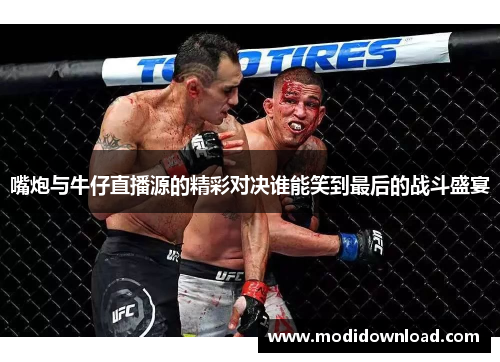 嘴炮与牛仔直播源的精彩对决谁能笑到最后的战斗盛宴