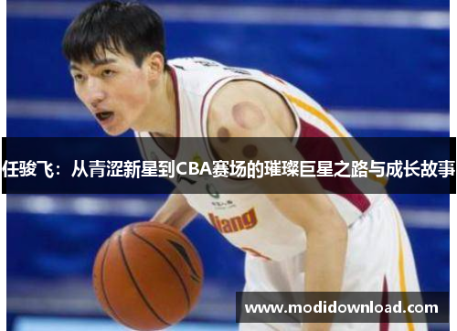 任骏飞：从青涩新星到CBA赛场的璀璨巨星之路与成长故事